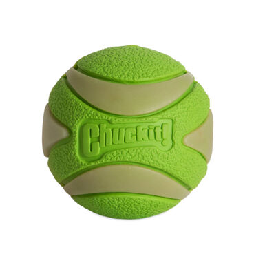 Chuck It! Max Glow Ultra Squeaker Bola com Brilho para cães